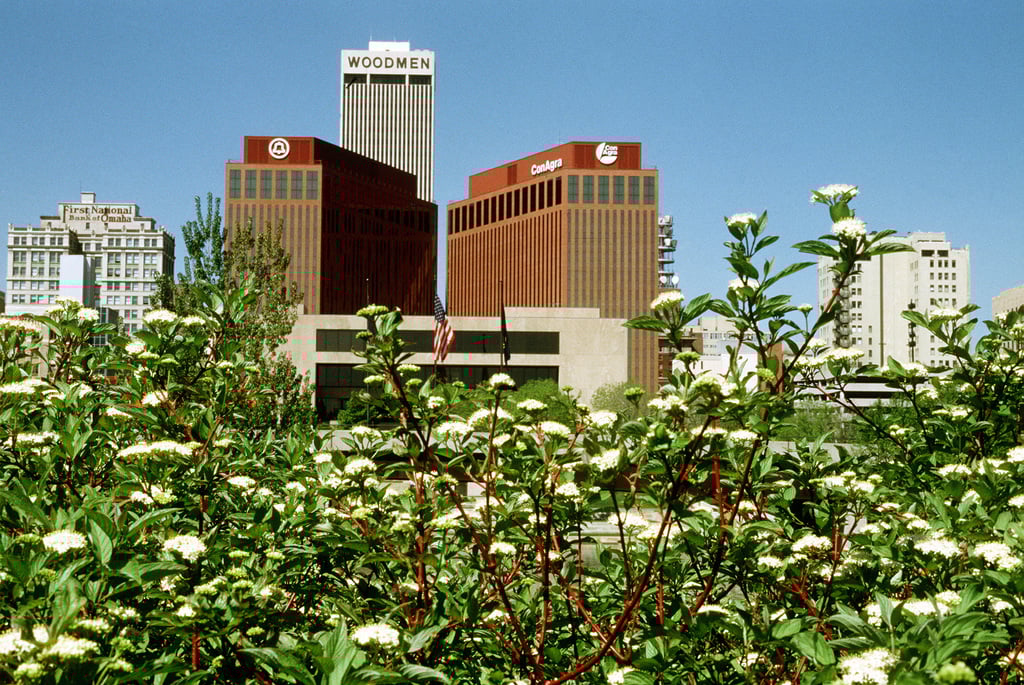 Commercial Collections in Nebraska